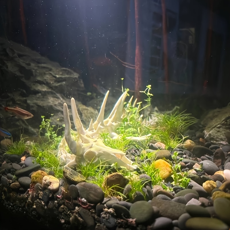 1pc Dragon-Shaped Fishbone Dec - Aquarium Plants Live review and price