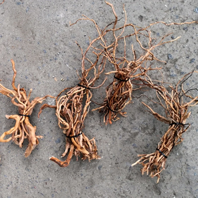 Natural Driftwood Root Trunk T - Aquarium Driftwood review and price