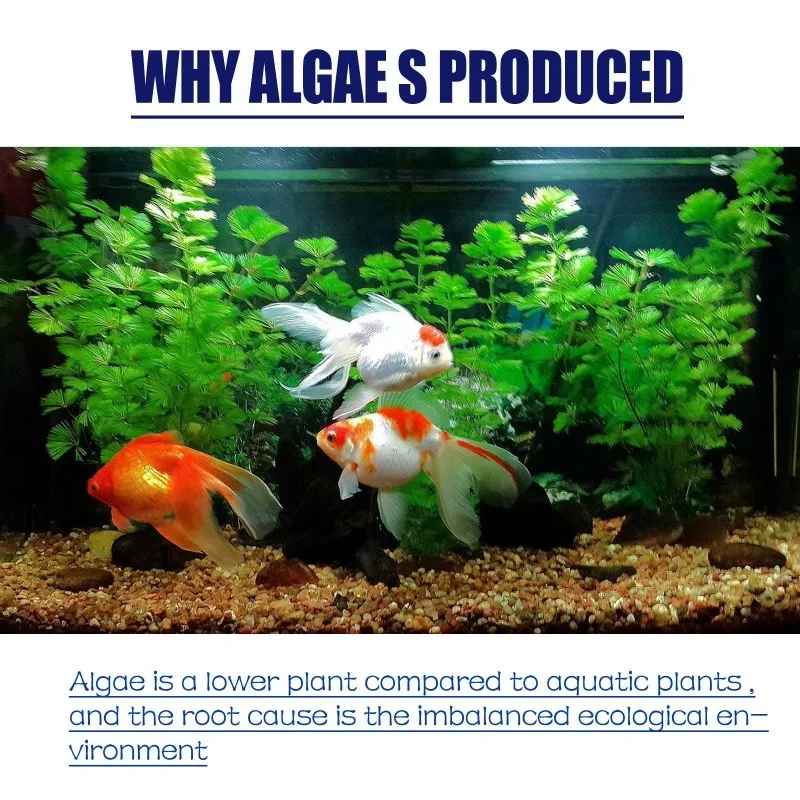 50g High Efficiency Algaecide  - Aquarium Fertilizer review and price