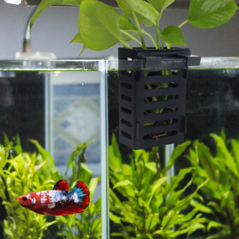 Aquarium Fish Tank Plant Holde - Aquarium Plant Holder review and price