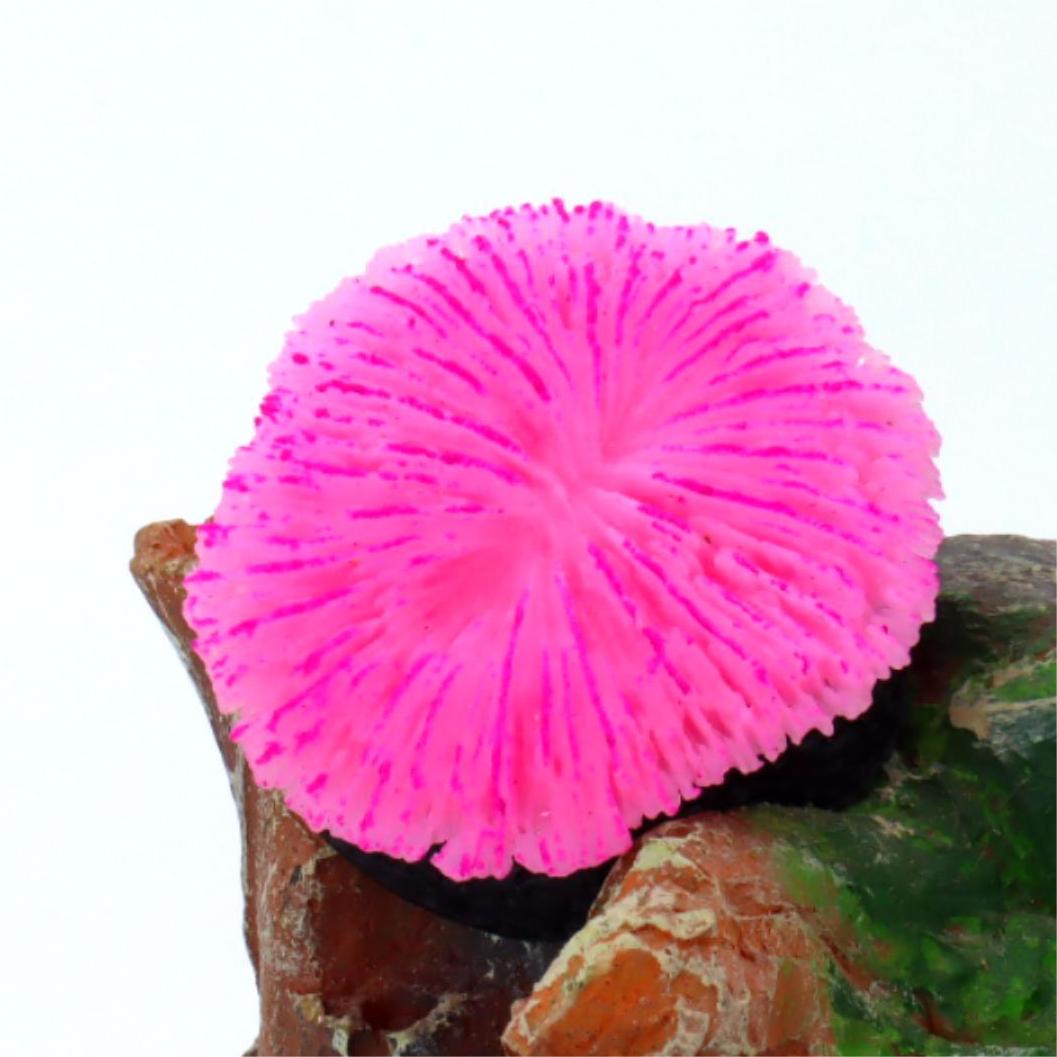 1 Piece Aquarium Decoration Sa - Live Plant Aquarium review and price
