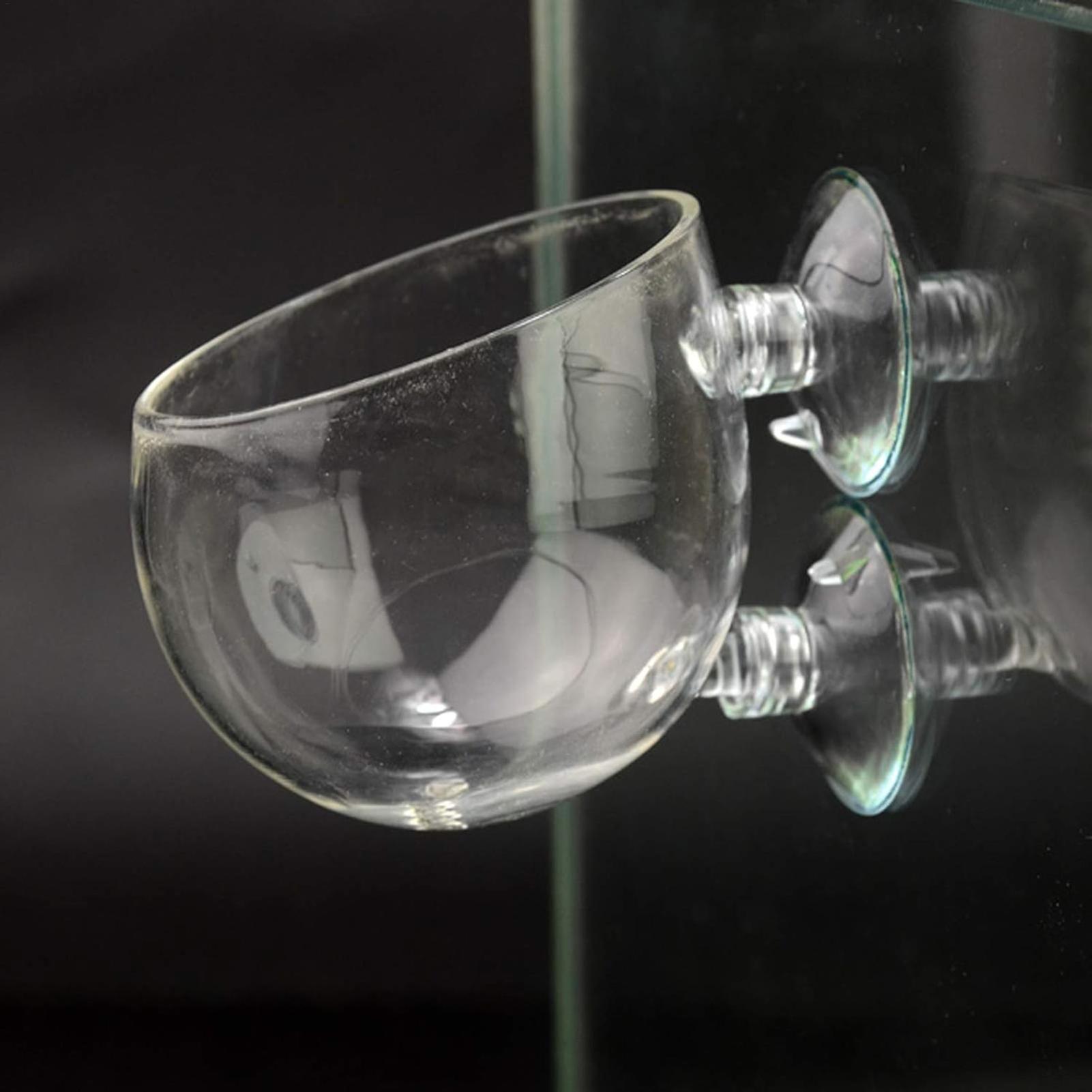 Aquarium Plant Holder Glass Aq - Aquarium Plants Live review and price
