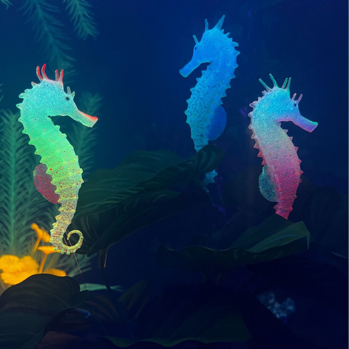 Simulated Luminous Seahorse Fi - Aquarium Plant Substrate review and price