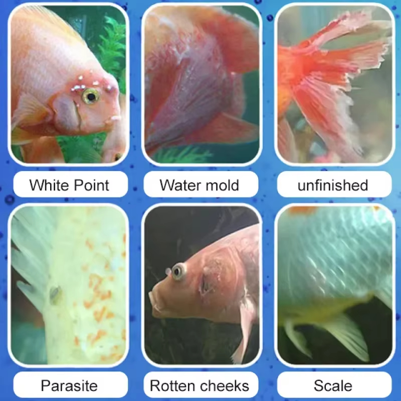 SIKEZHAN Fish Disease Treatmen - Aquarium Fertilizer review and price
