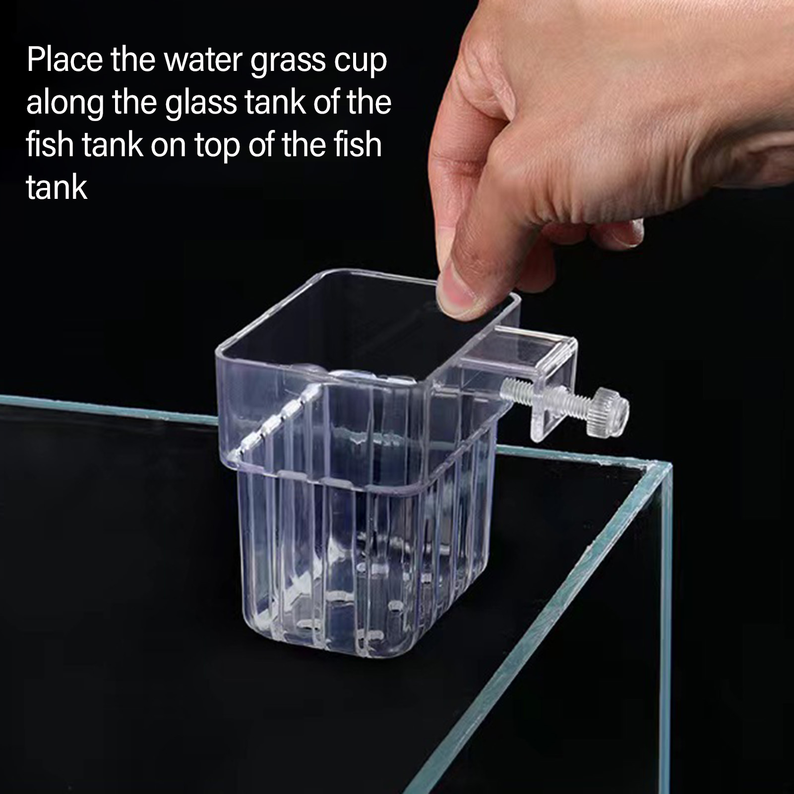 Clear Acrylic Plant Holder Hyd - Aquarium Plant Holder review and price