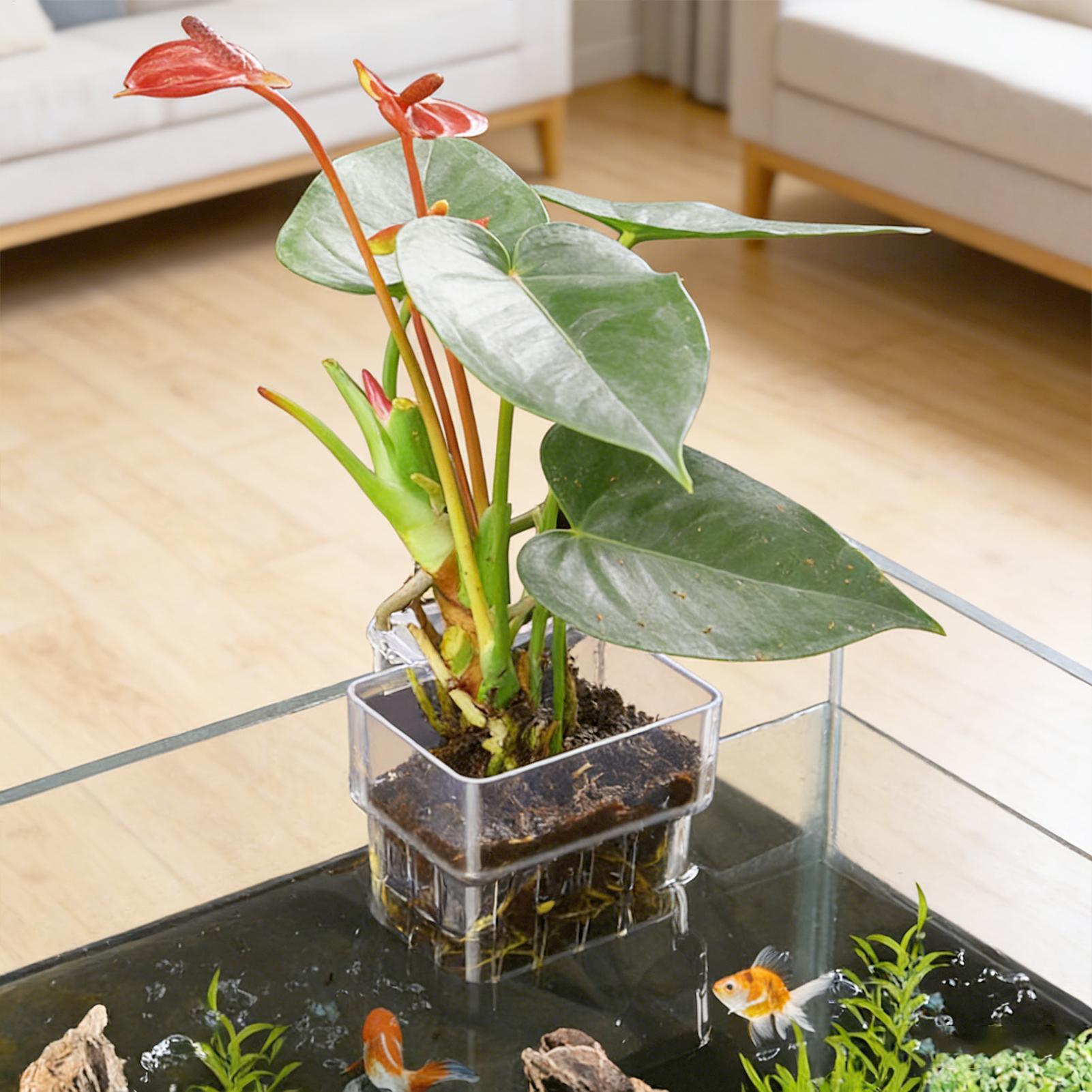 Aquarium Plant Basket Transpar - Plant Aquarium Pot review and price
