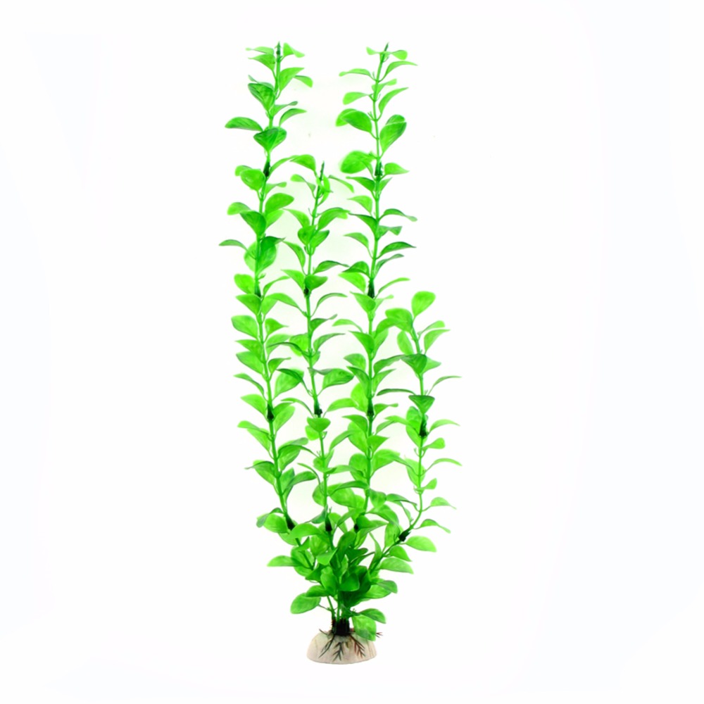 Ornament Aquarium Accessories  - Live Plant Aquarium review and price