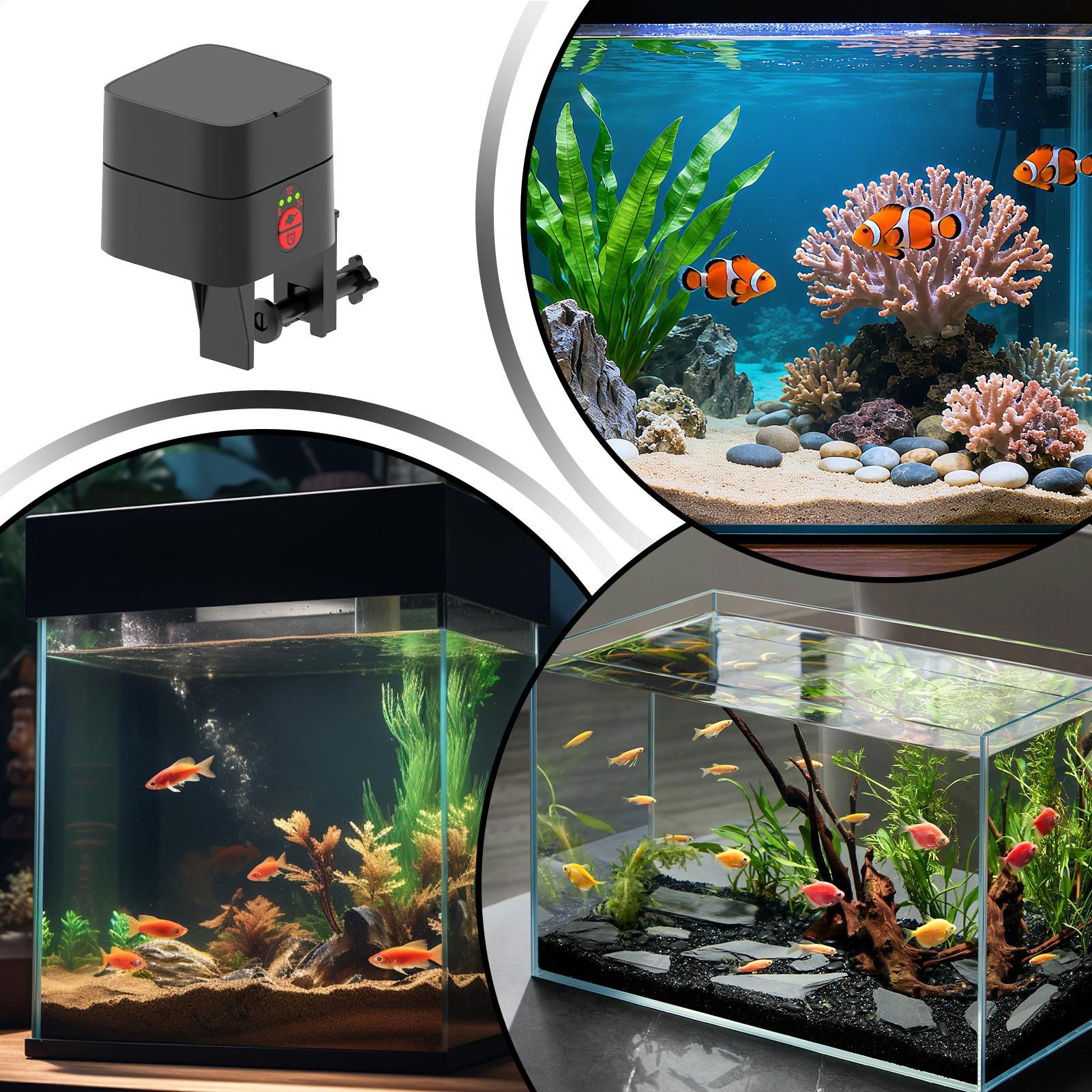 Auto Fish Feeder For Aquarium  - Aquarium Fertilizer review and price