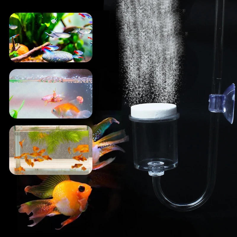 4pcs Set DIY CO2 Diffuser For  - Aquarium Plants Live review and price