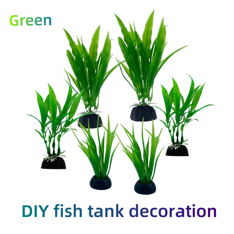 6pcs Packs Aquarium Plants, Fi - Live Plant Aquarium review and price