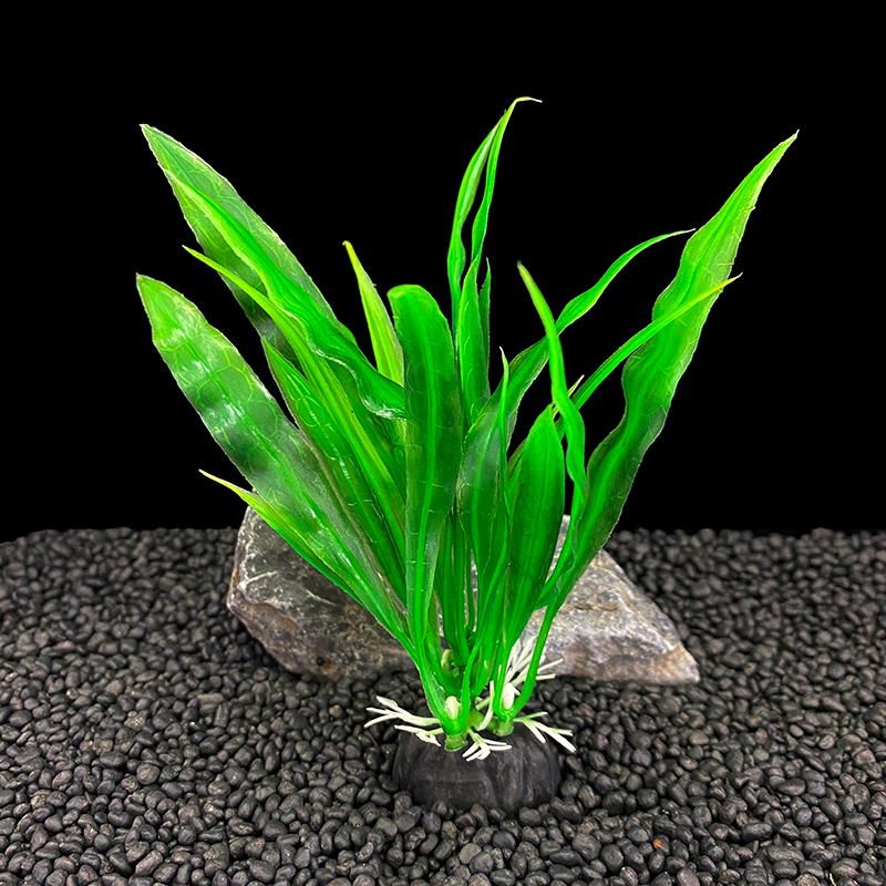 6pcs Packs Aquarium Plants, Fi - Live Plant Aquarium review and price